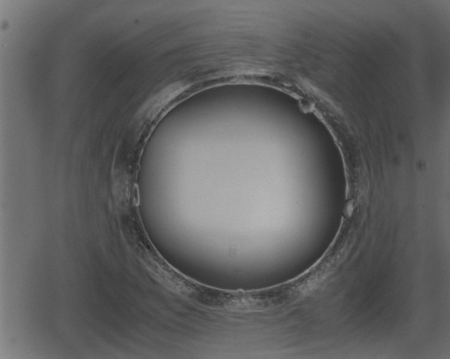 X0000062871169200601171414