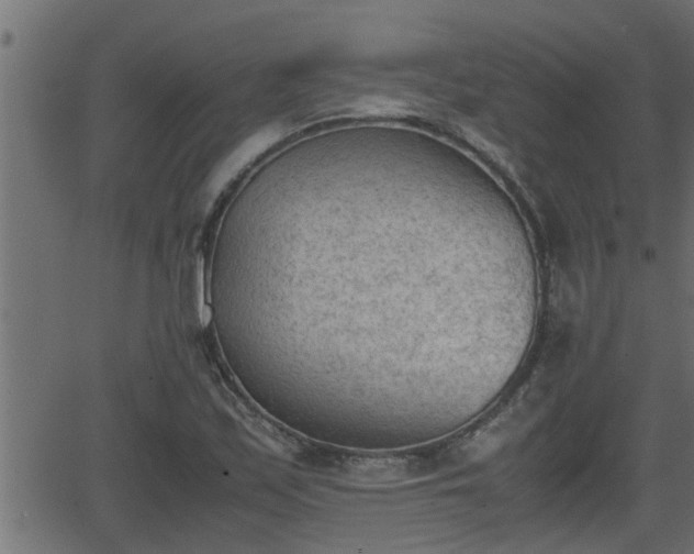 X0000062871171200601171413