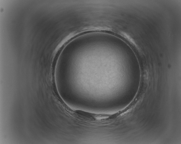 X0000062871173200601171413