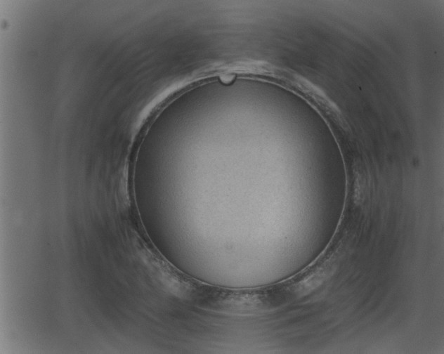 X0000062871174200601171413