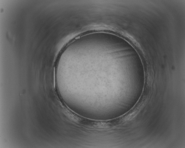 X0000062871175200601171413