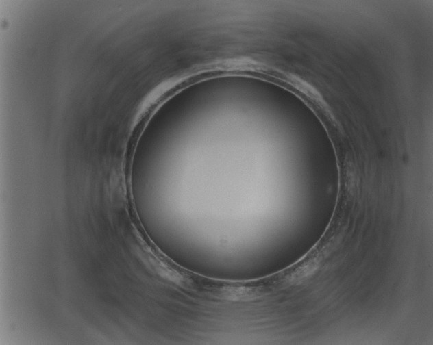 X0000062871176200601171413