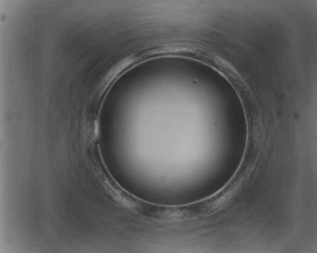 X0000062871177200601171413