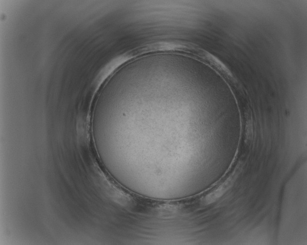 X0000062871178200601171413