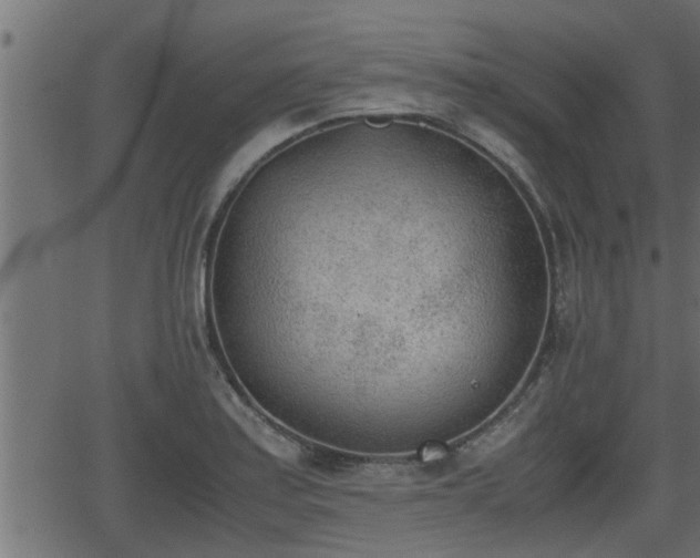 X0000062871179200601171413