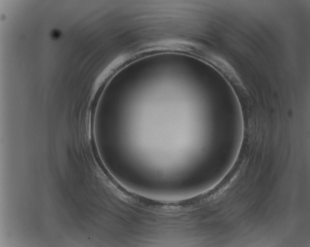 X0000062871180200601171413