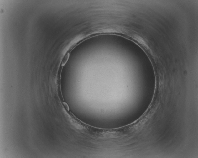 X0000062871181200601171413