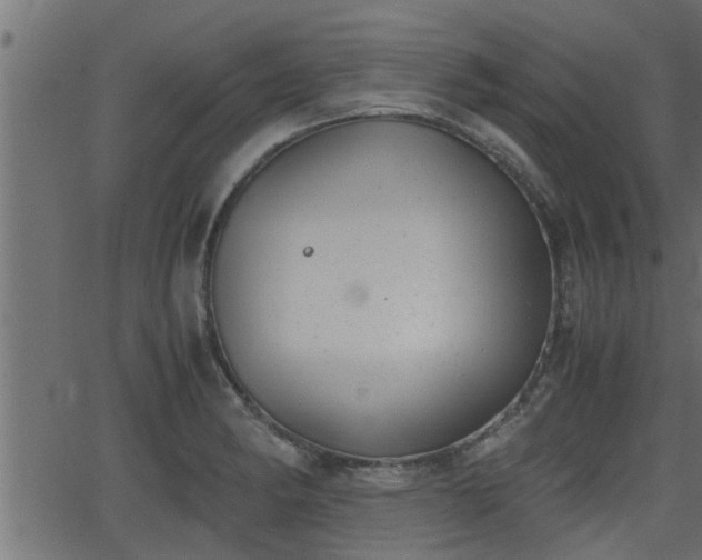 X0000062871182200601171413