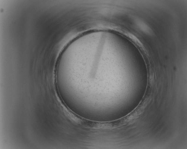 X0000062871183200601171413