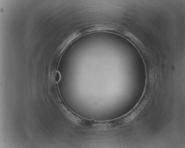 X0000062871185200601171413