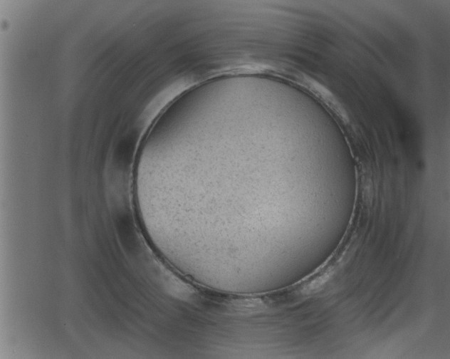 X0000062871186200601171413