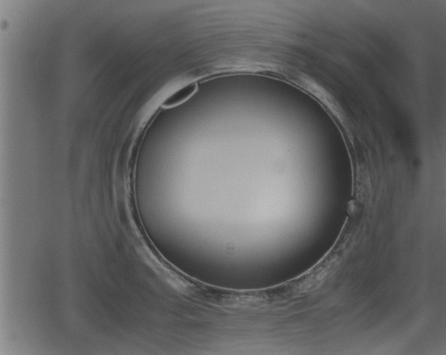 X0000062871187200601171413