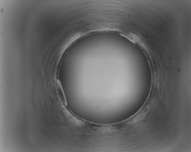 X0000062871189200601171413