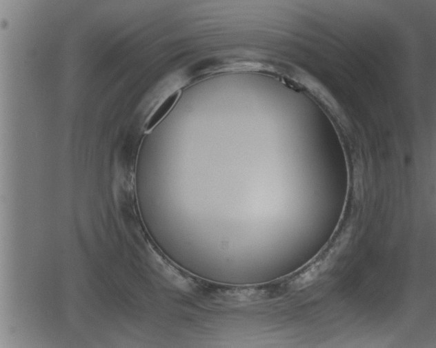 X0000062871193200601171413