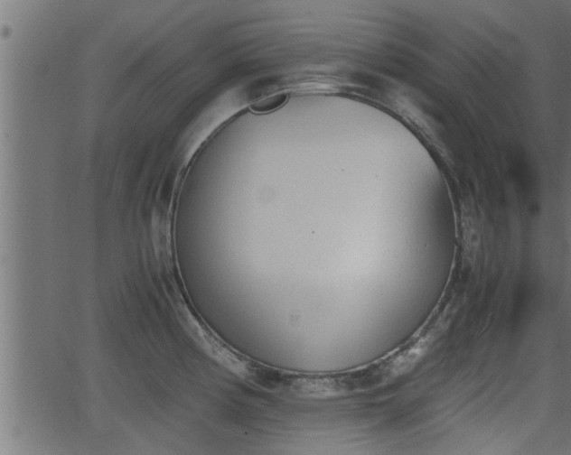 X0000062871194200601171413