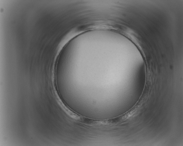 X0000062871195200601171413