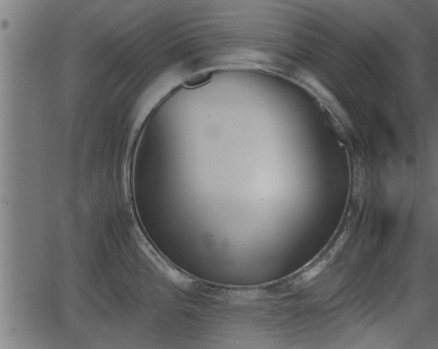 X0000062871196200601171413