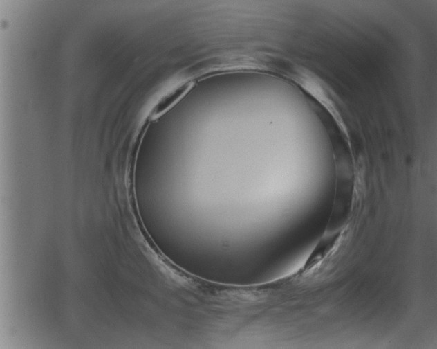 X0000062871197200601171413