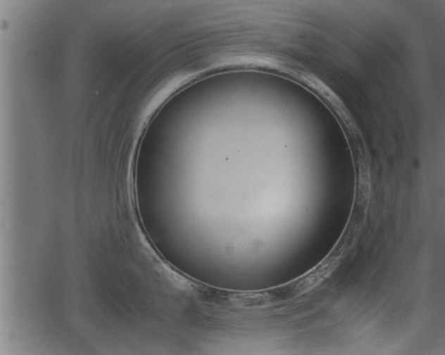 X0000062871199200601171413