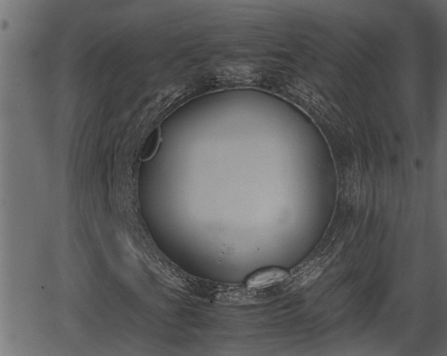 X0000062871201200601171412