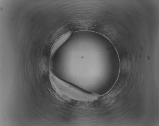 X0000062871202200601171412