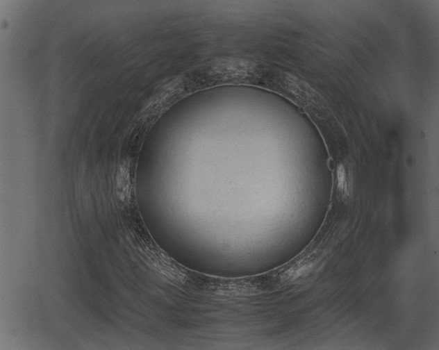 X0000062871203200601171412