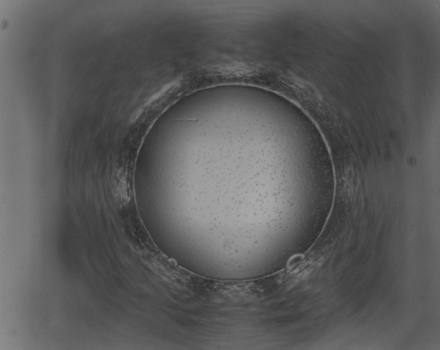 X0000062871205200601171412