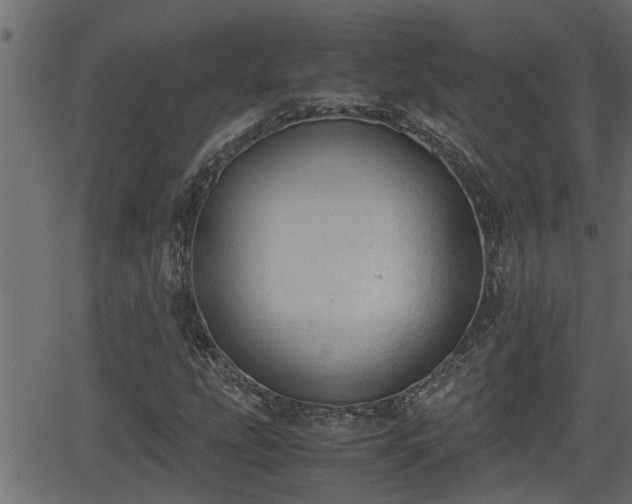 X0000062871207200601171412