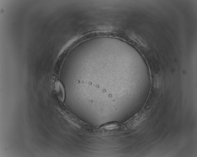 X0000062871208200601171412