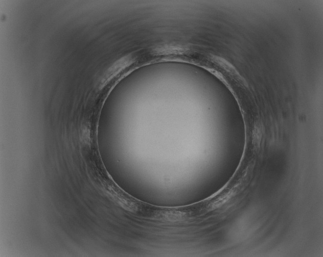 X0000062871209200601171412