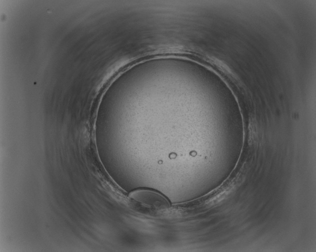 X0000062871212200601171412