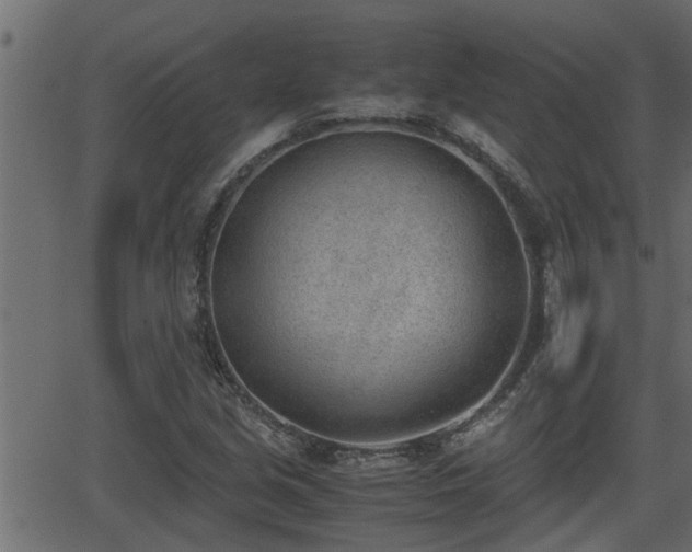 X0000062871213200601171412