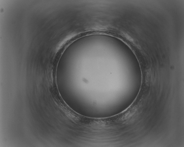 X0000062871214200601171412