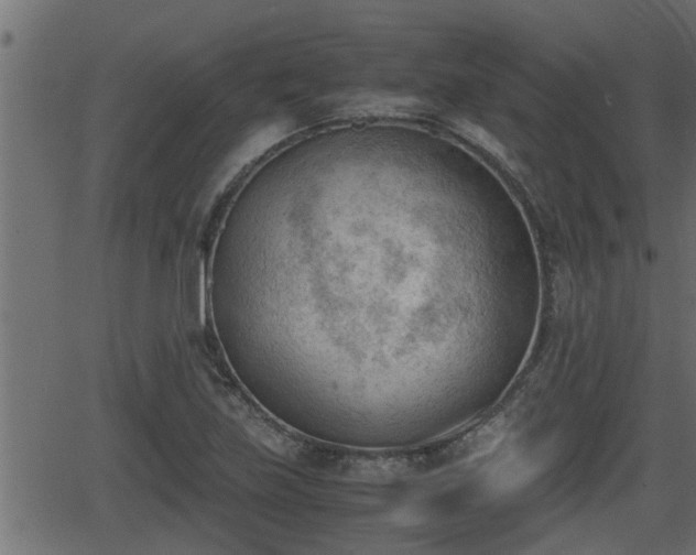 X0000062871219200601171412