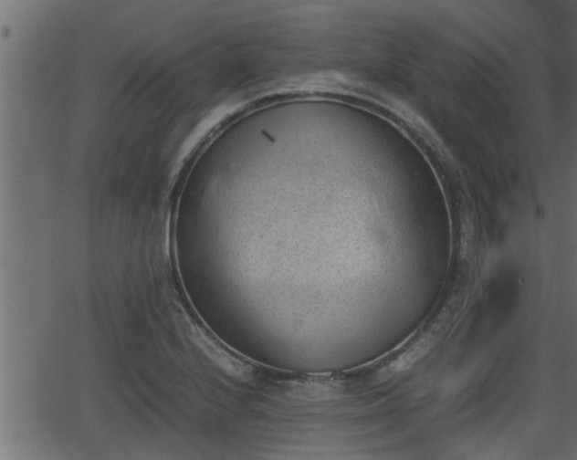 X0000062871224200601171413