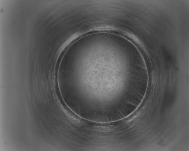 X0000062871229200601171413