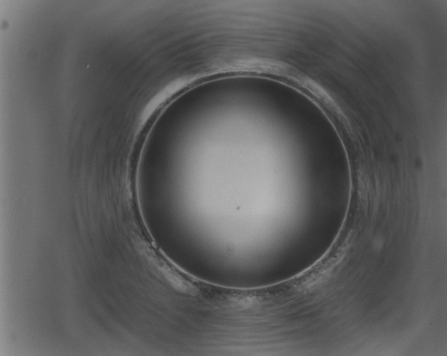 X0000062871230200601171413