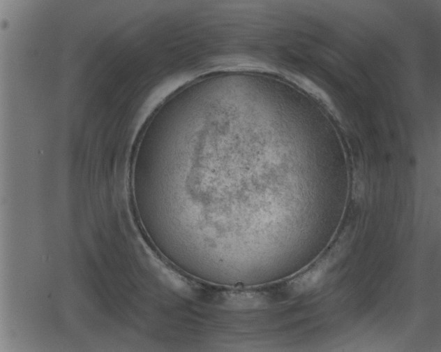 X0000062871231200601171413