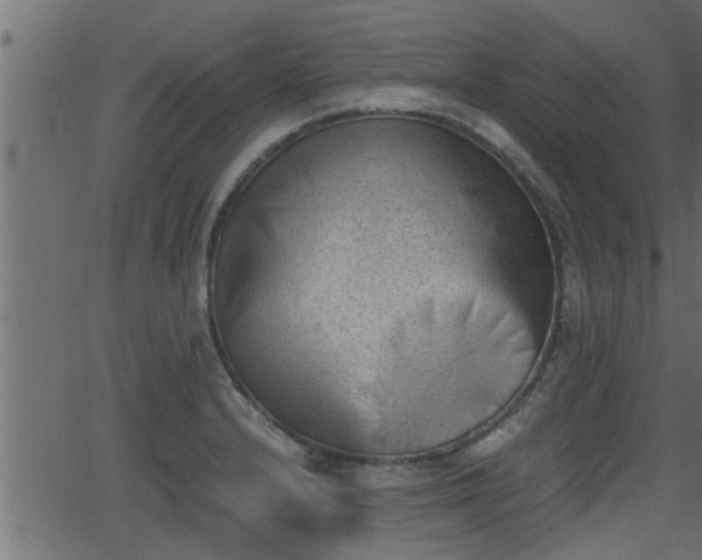 X0000062871232200601171413