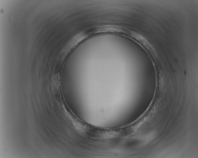 X0000062871233200601171413