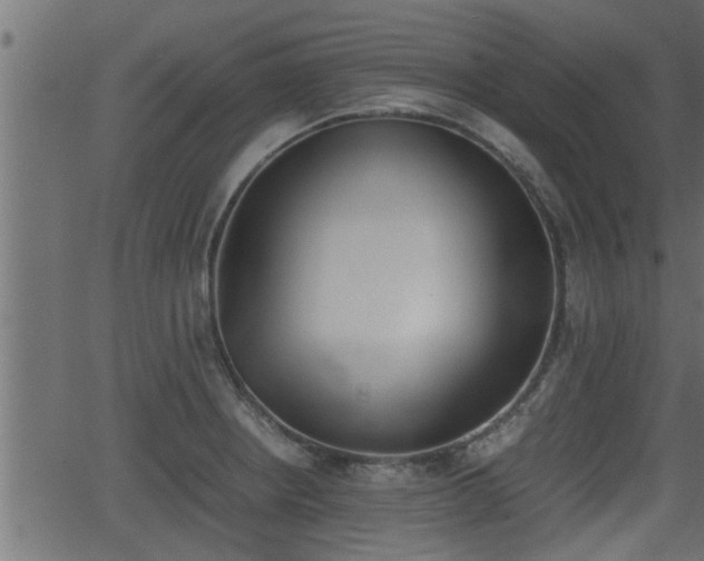 X0000062871234200601171413