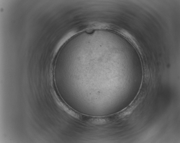 X0000062871235200601171413