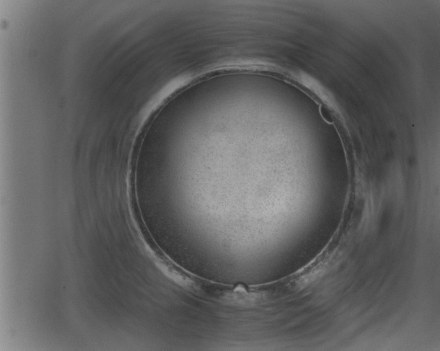 X0000062871237200601171413