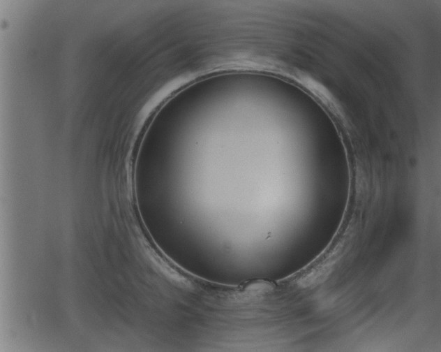 X0000062871238200601171413