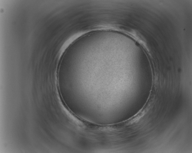 X0000062871239200601171413