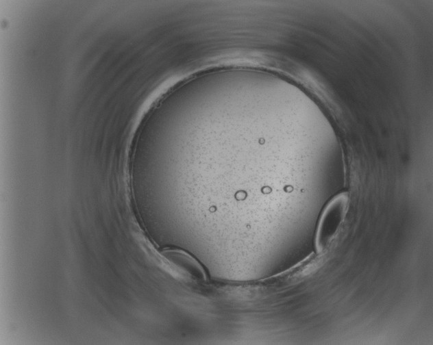 X0000062871240200601171413