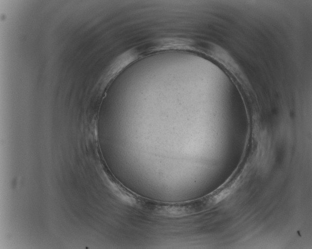 X0000062871241200601171413