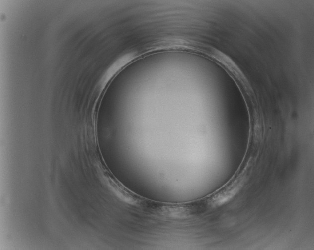 X0000062871242200601171413