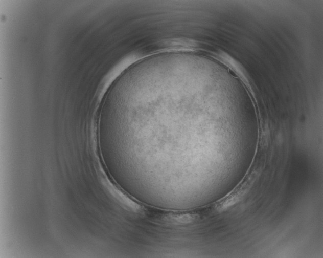 X0000062871243200601171413