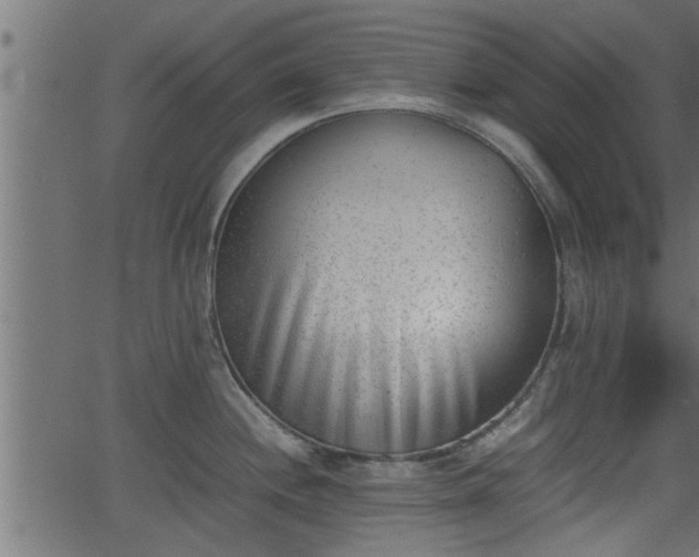 X0000062871244200601171413